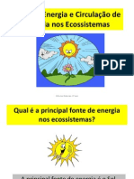 8.Ppt.prof.Fluxo.energia