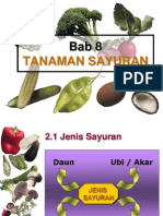 bab8 tanaman sayuran