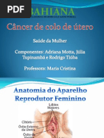 Saude Da Mulher - CA Colo de Utero