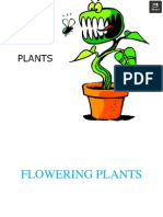 SC f2 Chapter3 Plant