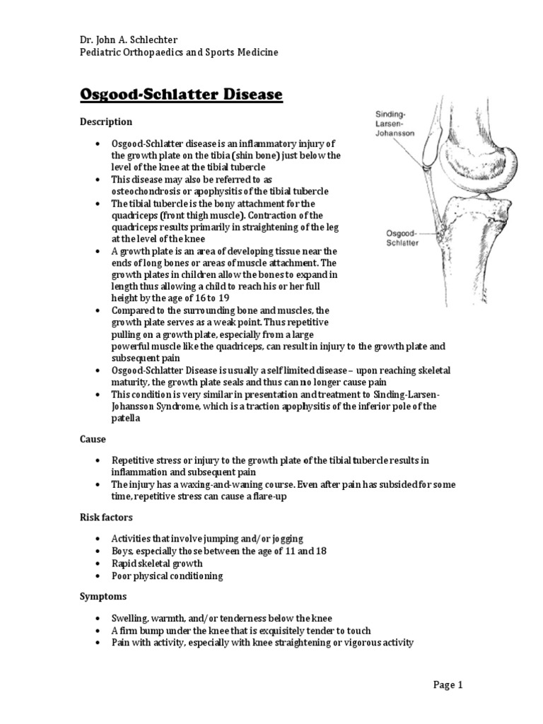 Osgood Schlatter Disease | PDF | Limbs (Anatomy) | Joints