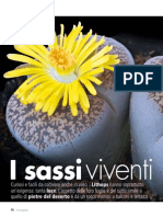 I Sassi Viventi