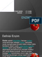 ENZIME ppt