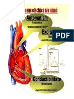 Curs 2 (Fenomene Electrice Cardiace)