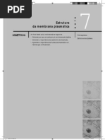 CEDERJ-Biologia Celular I - Aula (7)