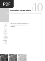 CEDERJ-Biologia Celular I - Aula (10)