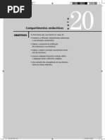 CEDERJ-Biologia Celular I - Aula (20)