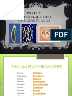 PHYLUM PLATYHELMINTHES.pptx