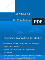 Clase 10. Capitulo 14-Imag-Peq