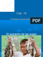 Clase 13. Capitulo 18-Imag-Peq