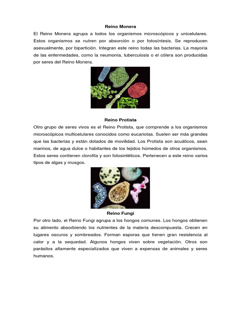 Características de los Cinco Reinos Biológicos | PDF | Plantas | Hongo