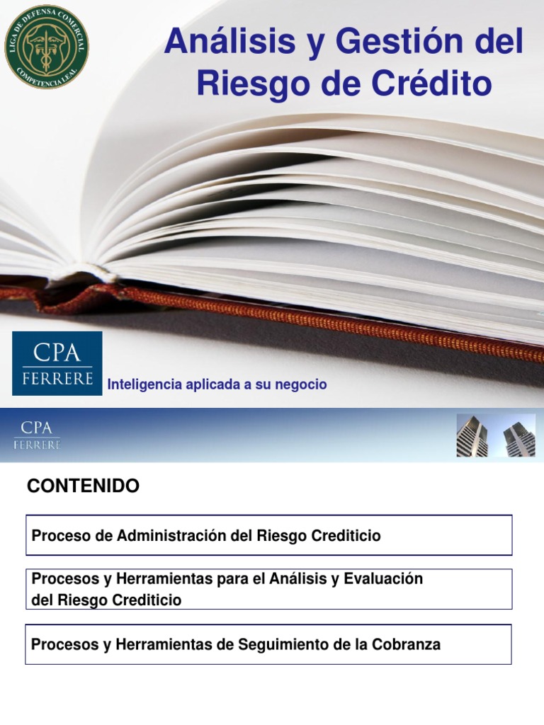 Analisis Riesgo De Credito Pdf Riesgo Crediticio Business