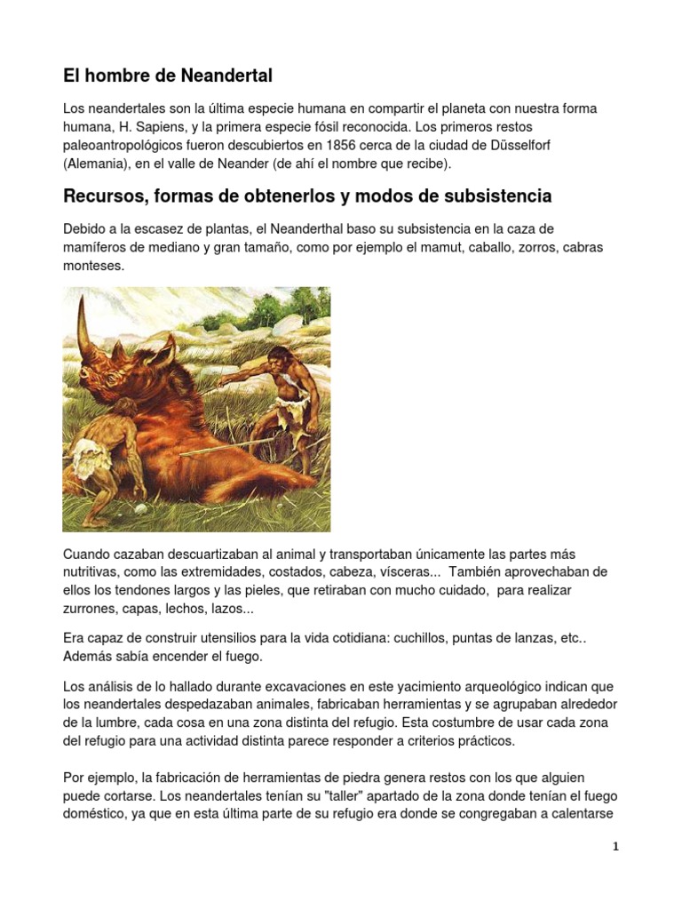 Vida y cultura del hombre de Neandertal | PDF | neanderthal | Homo Sapiens