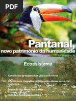 Apresentação - Pantanal -