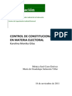 Monika Gilas, Control de Constitucionalidad en Materia Electoral