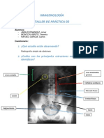 Taller Práctica 02