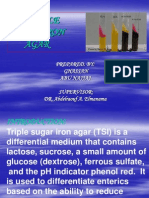 Triple Sugar Iron Agar