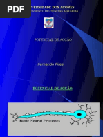 4-Potencial Acção