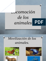 Locomocin de Los Animales