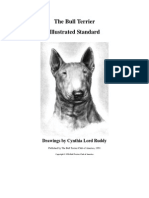 Bull Terrier Illustrated Standard