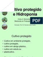 5 Hidroponia