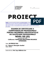 Proiect Strungar PDF