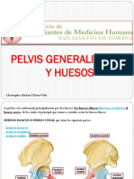1) PELVIS 2014 - Michael Chavez Veliz (AEMH -SMP)