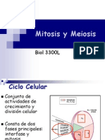 12. Xii Mitosis y Meiosis