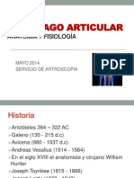 Cartilago Articular