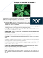 12 Plantes Sauvages Comestibles À Cuisiner PDF