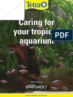 Caring For Your Tropical Aquarium
