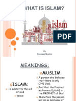 What Is Islam?: by Shenaaz Muslim
