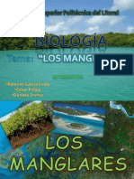 Diapositivas de Manglares