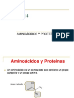 14 Aminoacidos y Proteinas