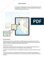 Trabajo de Calizas de Tembladera