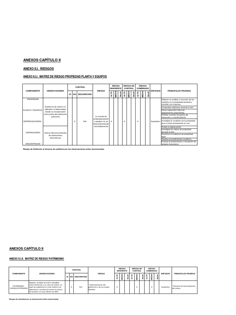 Matriz de Riesgo en Auditoría Financiera | PDF | Contabilidad | Inventario