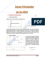 Funciones Principales en Las RNA PDF