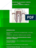 MINERALIZACIÓN HUESOS DIENTES