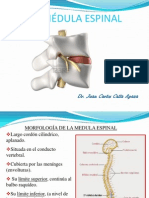Clase 9 Medula Espinal