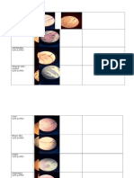 Urinary Bladder (Lpo & Hpo)