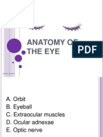 Eyes and Vision Presentation