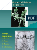 04.sistema Esquelético. Osteología