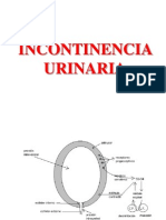 Incontinencia Urinaria