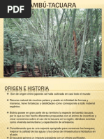 Karafuncatalog Es All  PDF  Entretenimiento (general)  Ocio