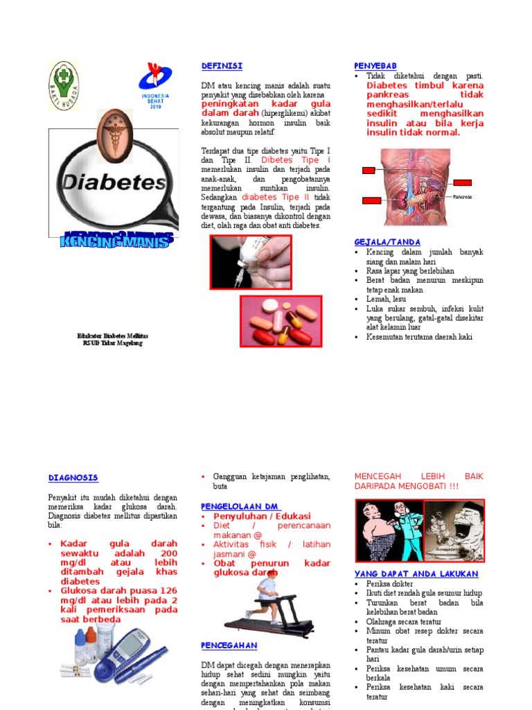 LEAFLET DIABETES MELITUS.doc