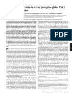 PNAS-2000-Matsuoka-10389-94, Ataxia Telangiectasia Mutants