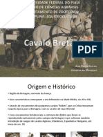 Origem e características do Cavalo Bretão