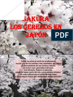 sakura-los-cerezos-en-japon-22033.ppt