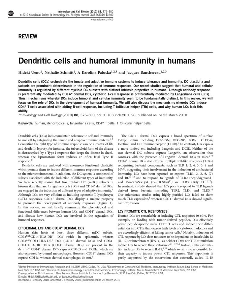 Dendritic Cells and Humoral Immunity | PDF