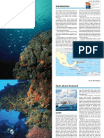 Diving Cozumel Introduction PDF